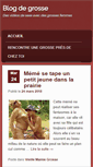 Mobile Screenshot of blogdegrosse.com